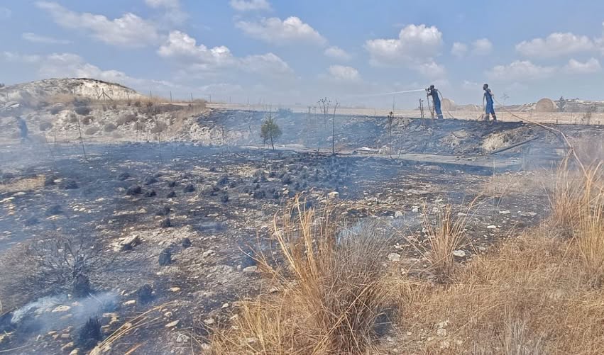 image Rizoelia fire put out before spreading