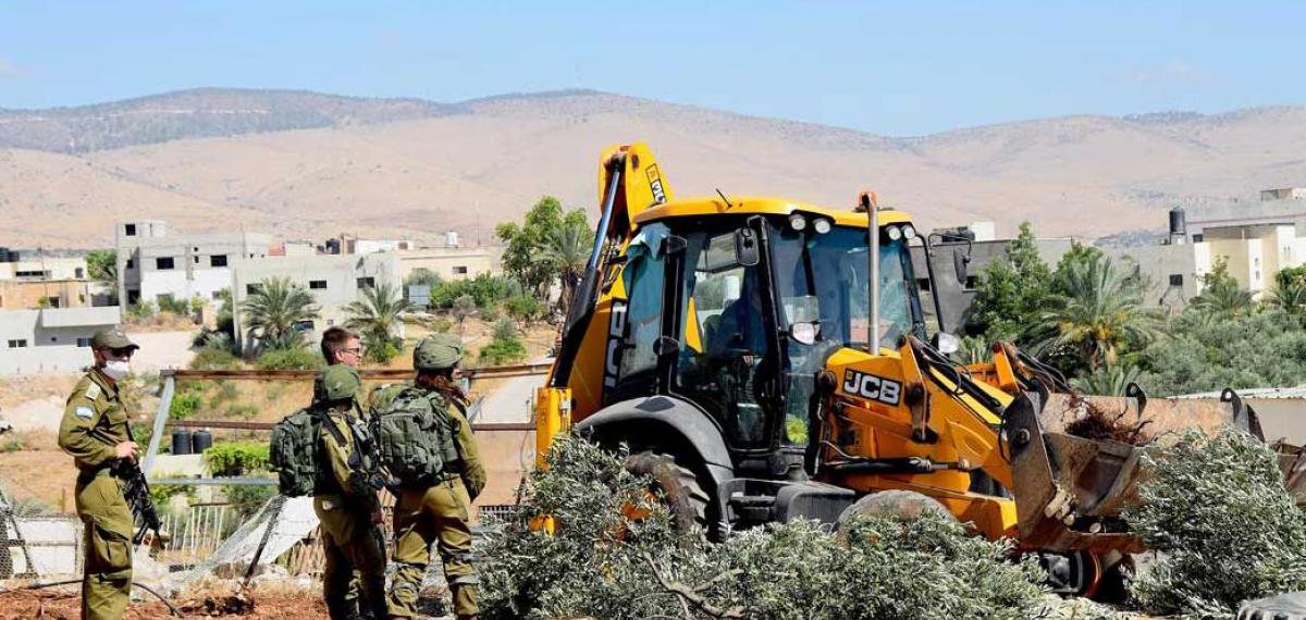 cover Israeli bulldozers smash Palestinian olive trees ahead of annual harvest