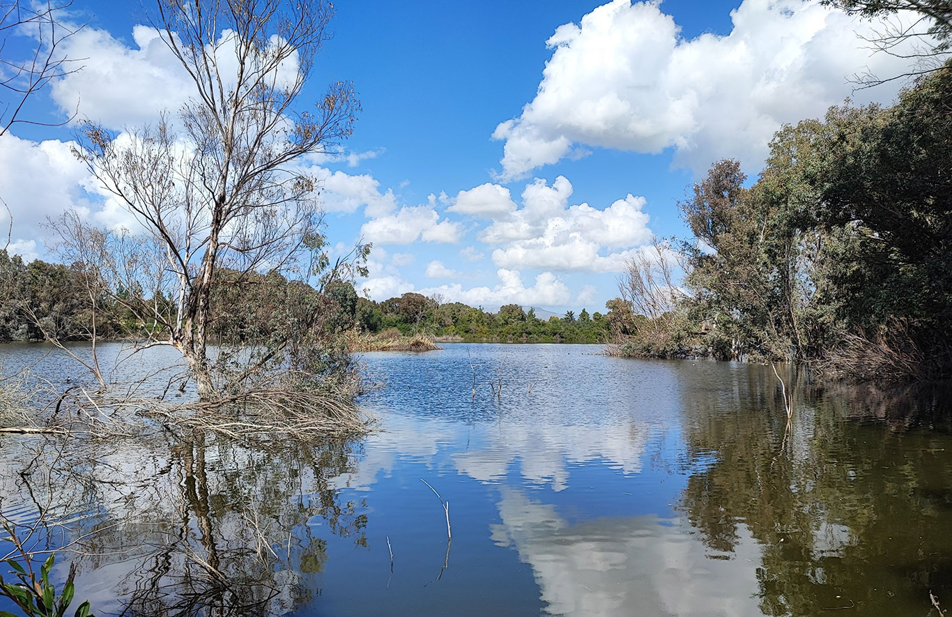 image Forestry department launches national forest park app