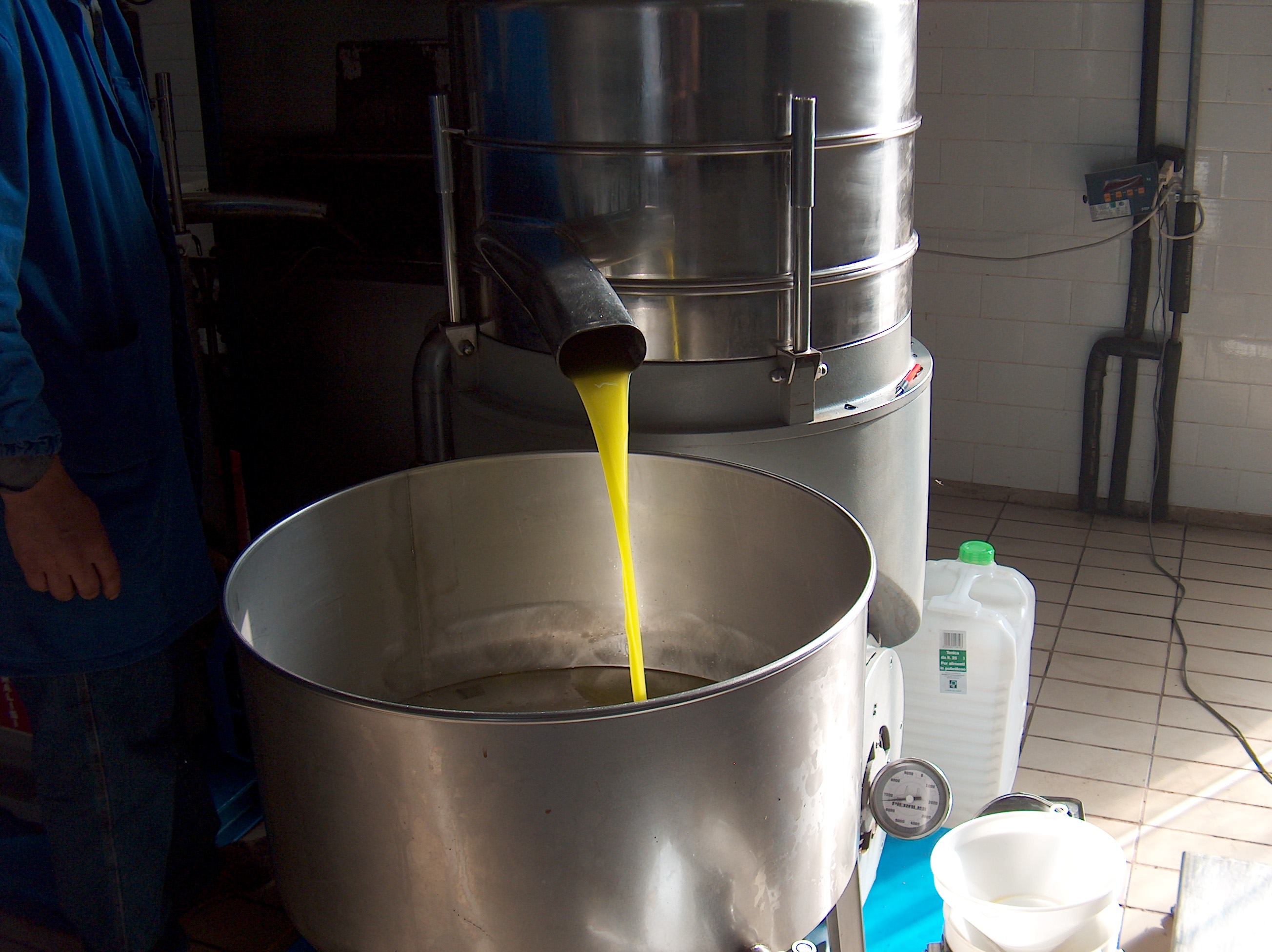 Olive, olive grove, olive tree, olives, olive oil