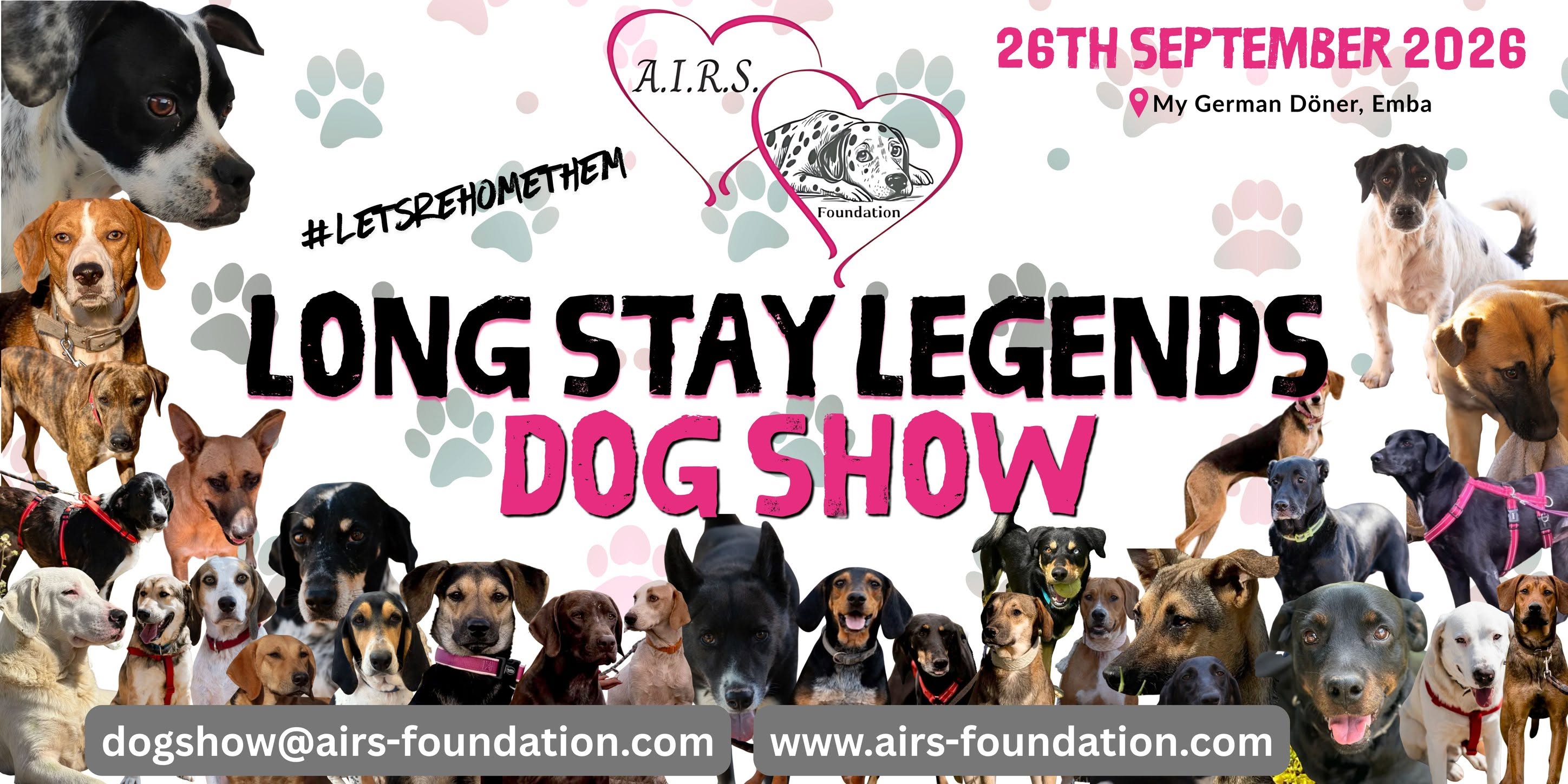image Meet Cyprus’ long-stay shelter dogs in Paphos