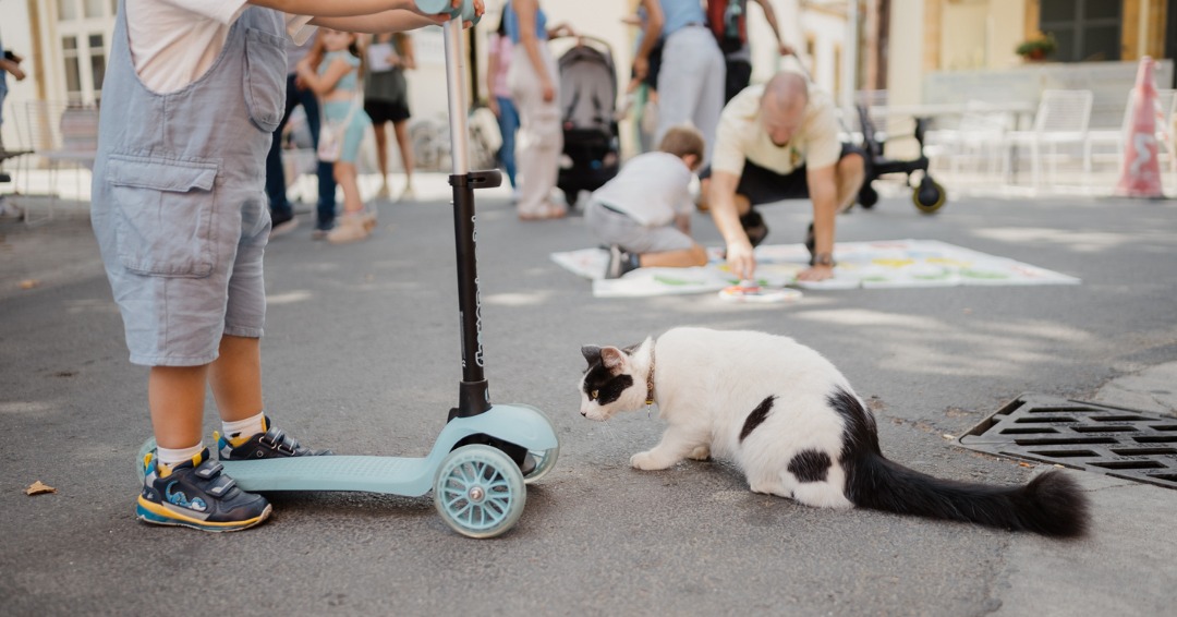 image Neighbourhood event opens up streets for community