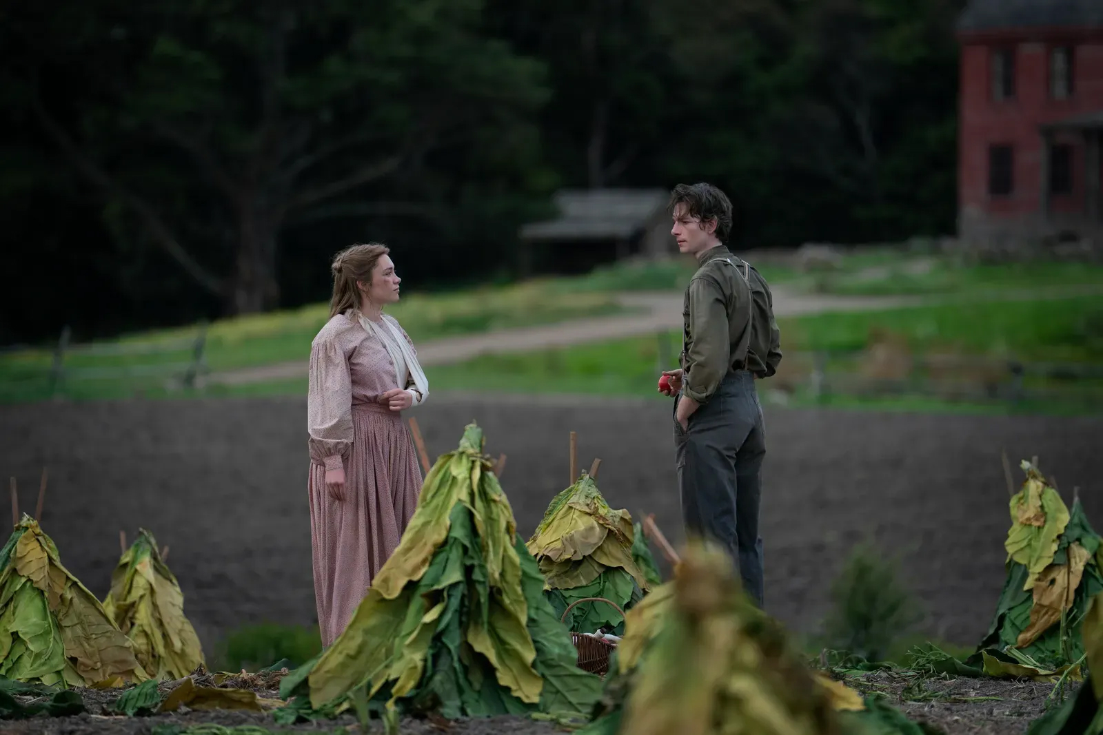 cover Buckets of blood, divorce and serial killers: what to stream in October