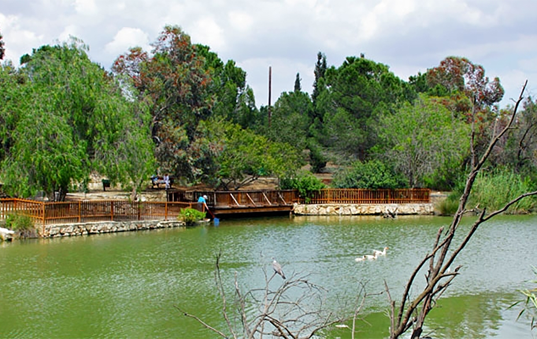 cover Second goose with bird flu dies at Nicosia park