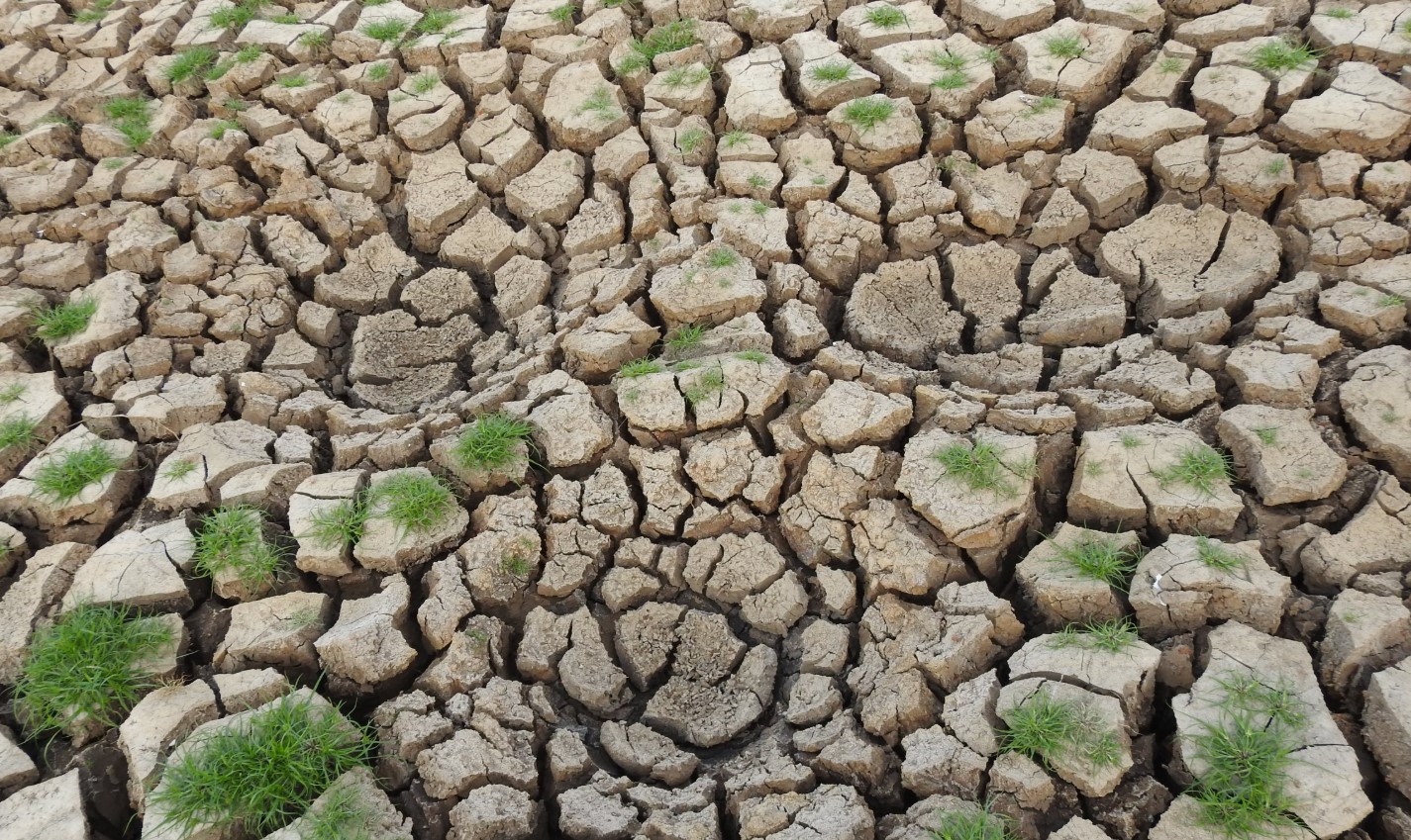 cover New climate models are zooming in on regional risks