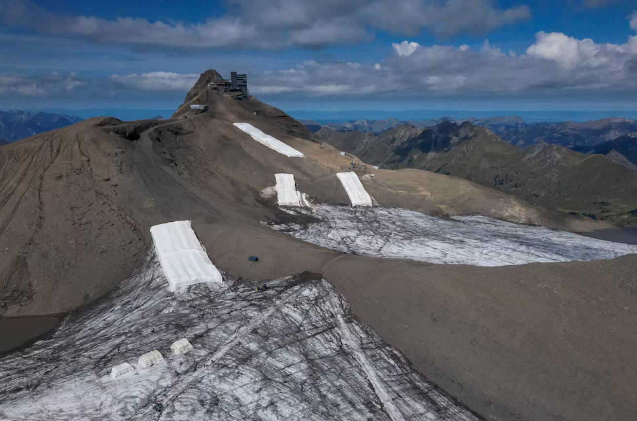 cover Can sheep save the glaciers? Swiss scientists put wool to the test