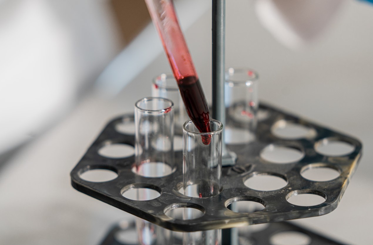 cover How AI could replace animal testing