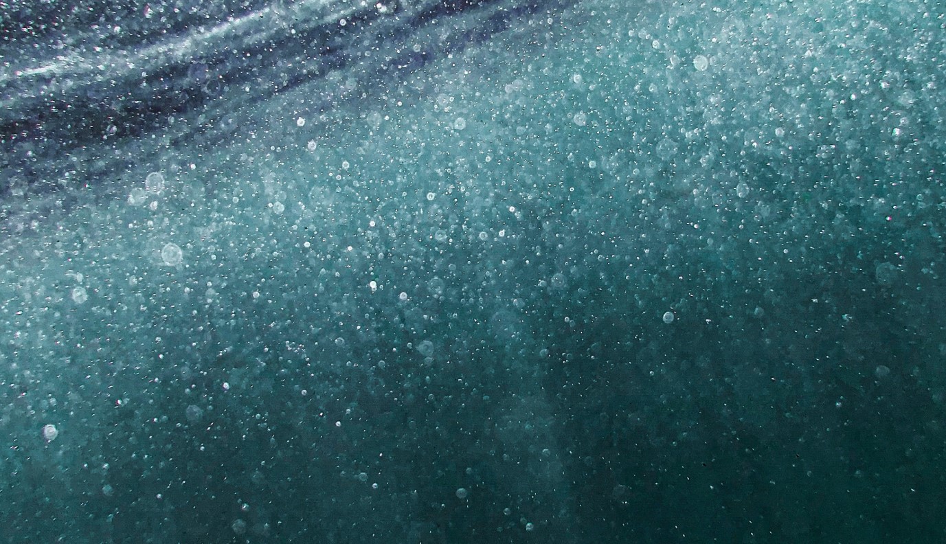cover AI dives into a sea of data, from plankton to pollution