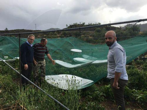 image Organic farming reaches 8.6 per cent of cultivated land in Cyprus