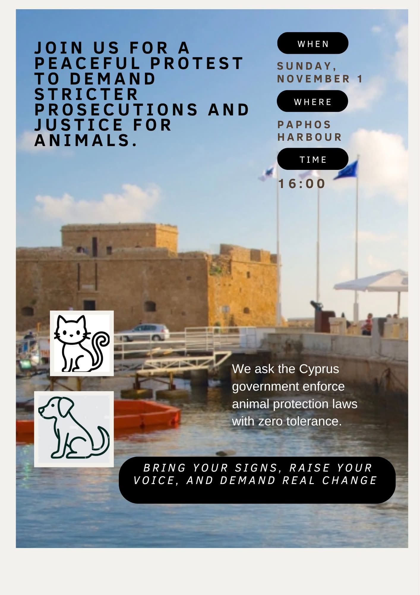 Paphos, animal right, activists, activism, animal abuse, animal cruelty