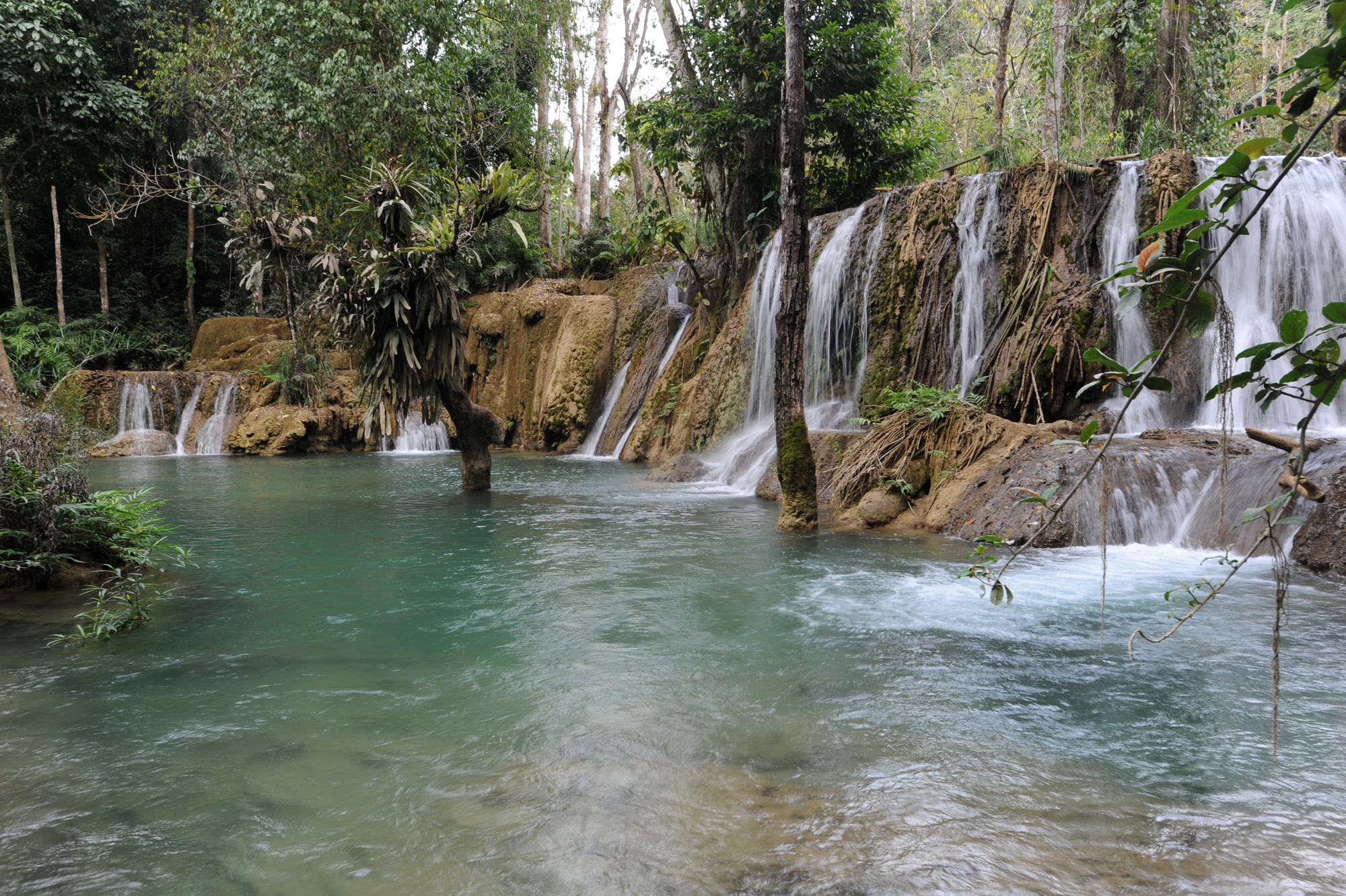 image World falling behind on nature protection goals, UN warns