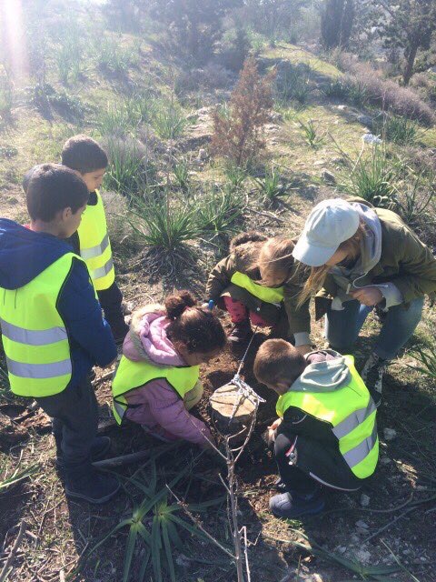 cover Connecting Cyprus, Montessori and a More Sustainable Future