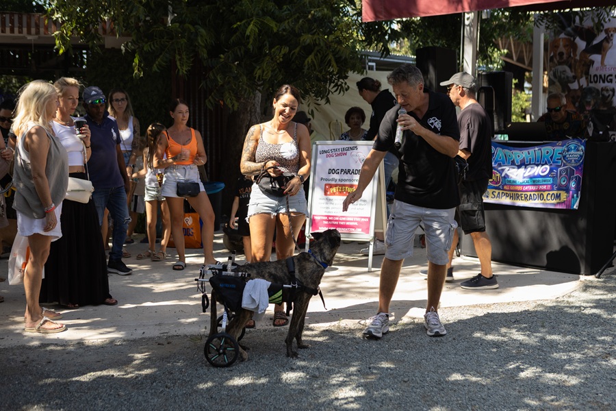Long Stay Legends Dog Show raises almost €6,500 in huge community success