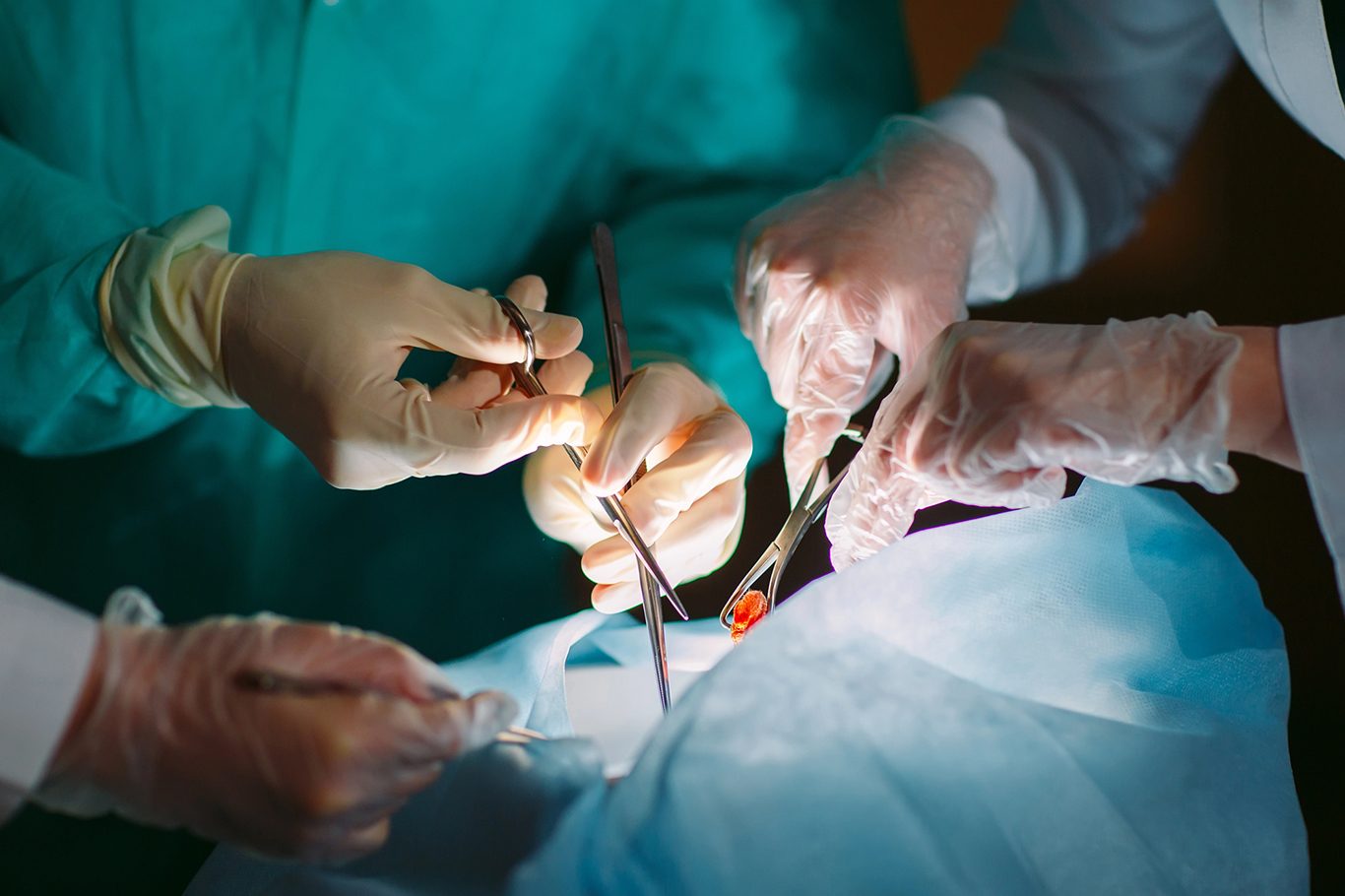 cover Christodoulides calls for greater trust in organ donation system