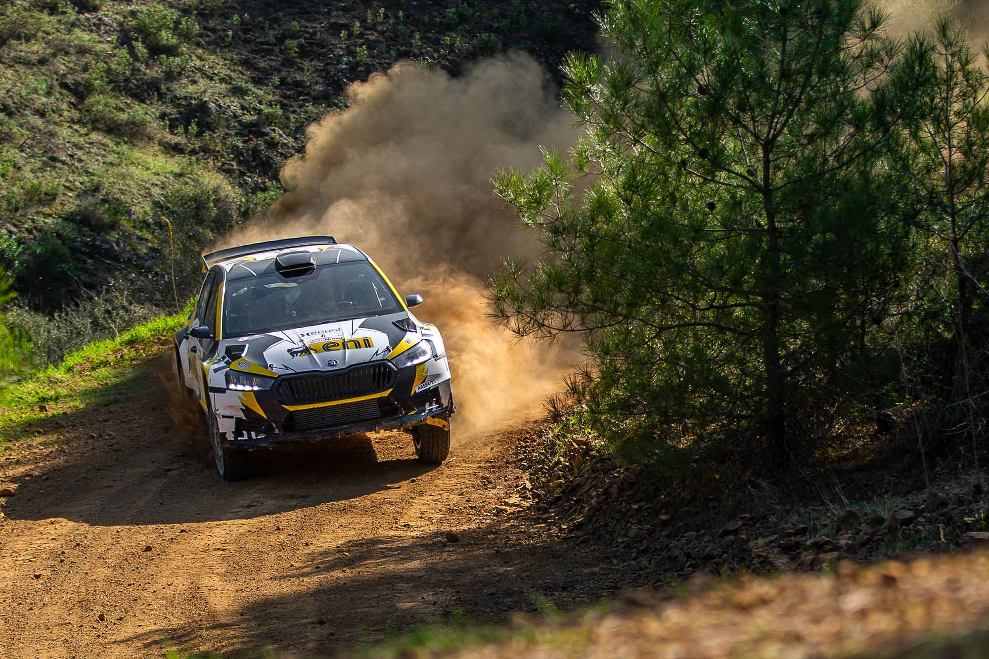 Cyprus rally, racing, rally cars, Larnaca