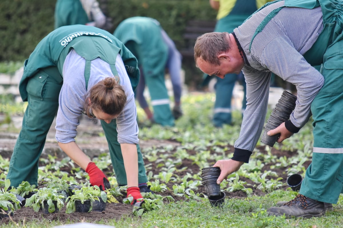 Women manage just 6.5 per cent of Cyprus farmland