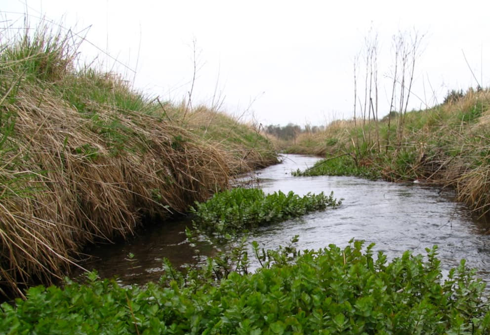 cover Water flowing in Garyllis river ‘not sewage’